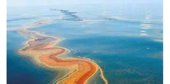 “親水又親油”的聚氨酯新型海綿材料面世