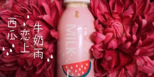創意+精致的塑料外包裝助力成就了這些超人氣網紅食品