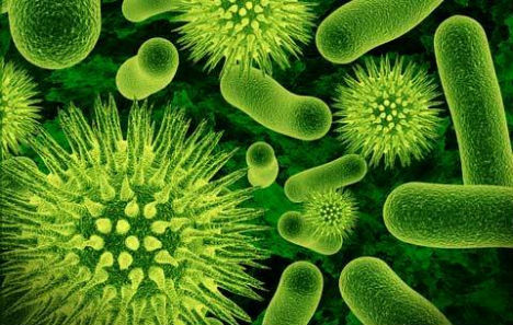 Novamont擴大生物塑料產能