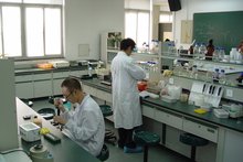 化學化工實驗室安全管理團標發布