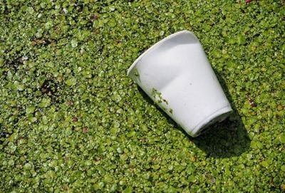 工信部：鼓勵支持生物降解塑料的產業化示范應用