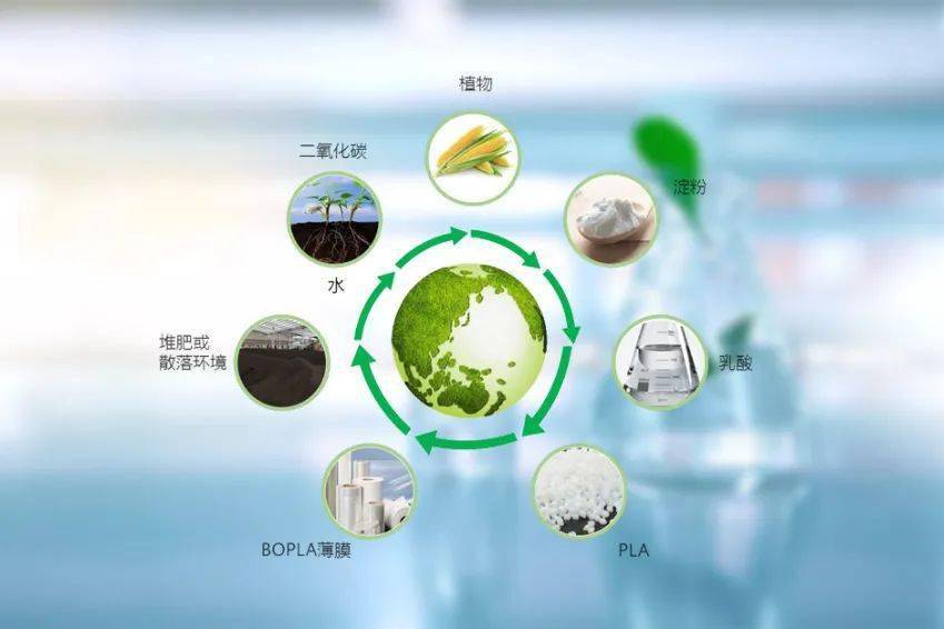 國內首個生物基膜材在廈量產 最快半年內完全降解
