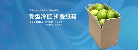 志力保溫箱 (3)