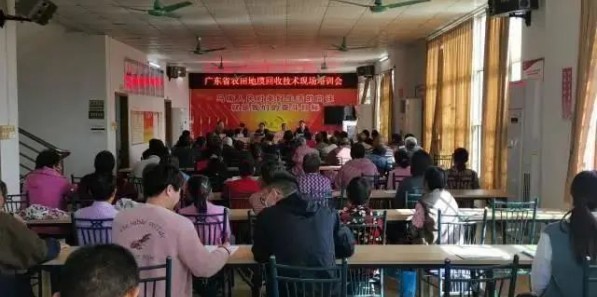 解決地膜污染：從回收與降解技術入手