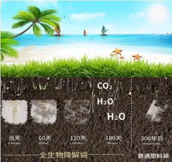 可降解塑料新思路：啃塑劑，或?qū)⒏膶懰芰喜豢山到鈿v史的黑科技
