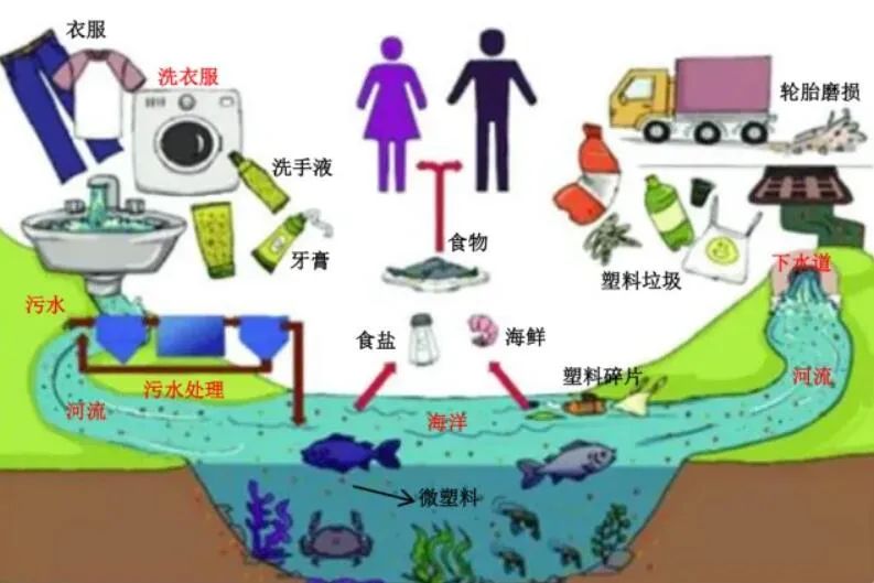 微塑料入侵人體，人們以后會放棄塑料嗎？