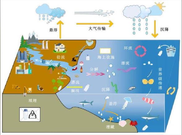 海洋中微塑料如何分布？最新研究稱受大小影響或有部分進入碳循環